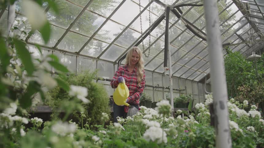 A smiling woman waters flowers in a greenhouse