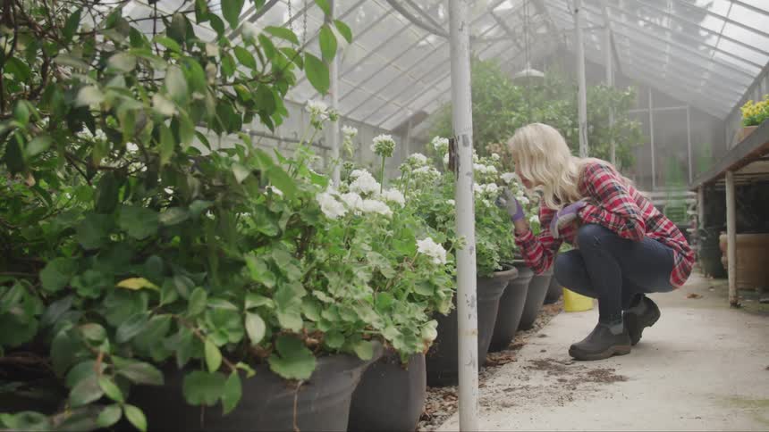 A woman is smelling flowers in a greenhouse