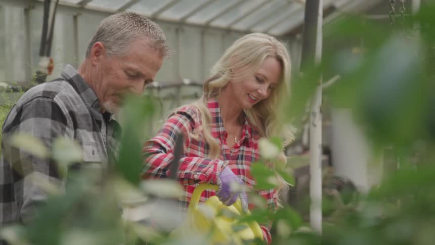 A graying man and woman doing gardening together