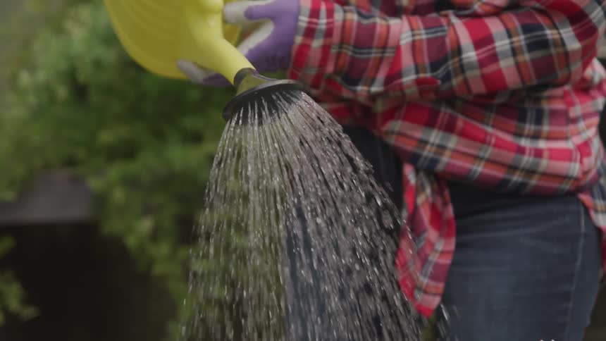A woman pours water from a watering can