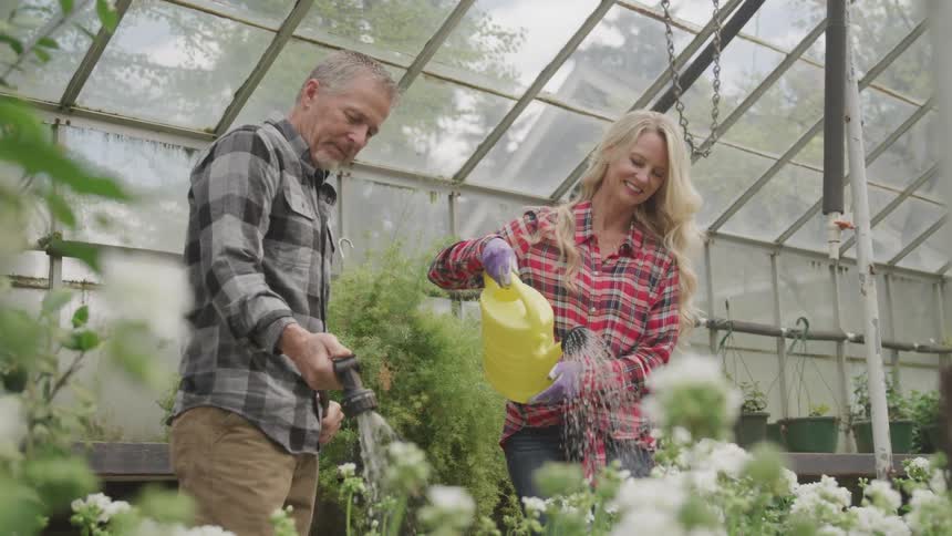 A couple watering their beloved plant in the glasshouse