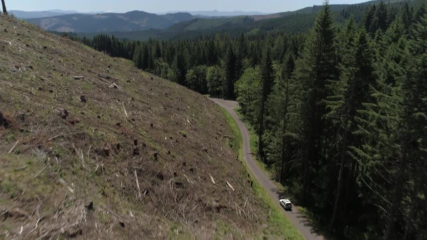 Camera follows a mountain rod with a forest on one side