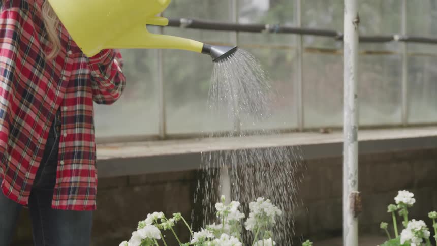 A woman is watering plants in a greenhouse