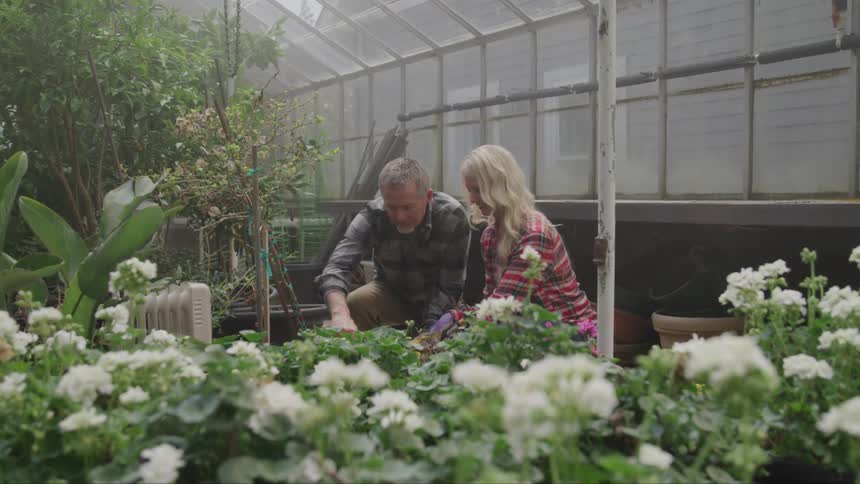 A man and woman garden in a greenhouse