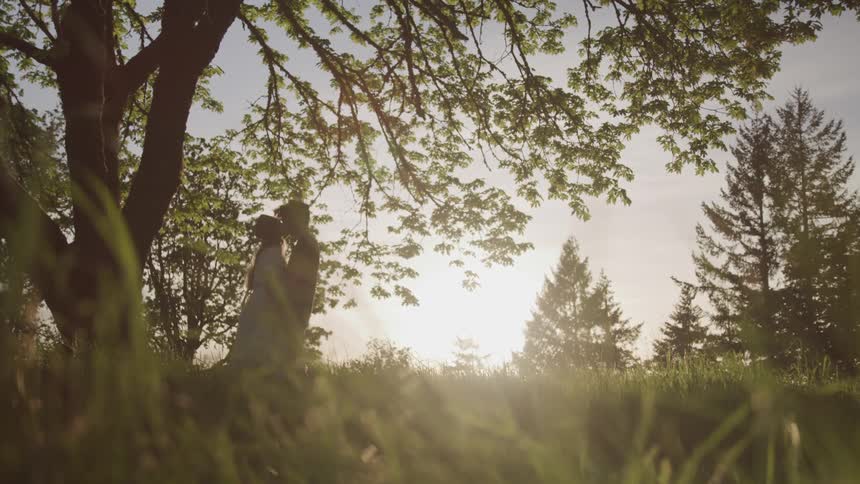 Man and woman hold hands hug and dance near tree in meadow