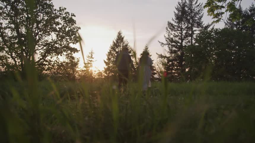 A couple walks in a grassy field holding hands at dusk