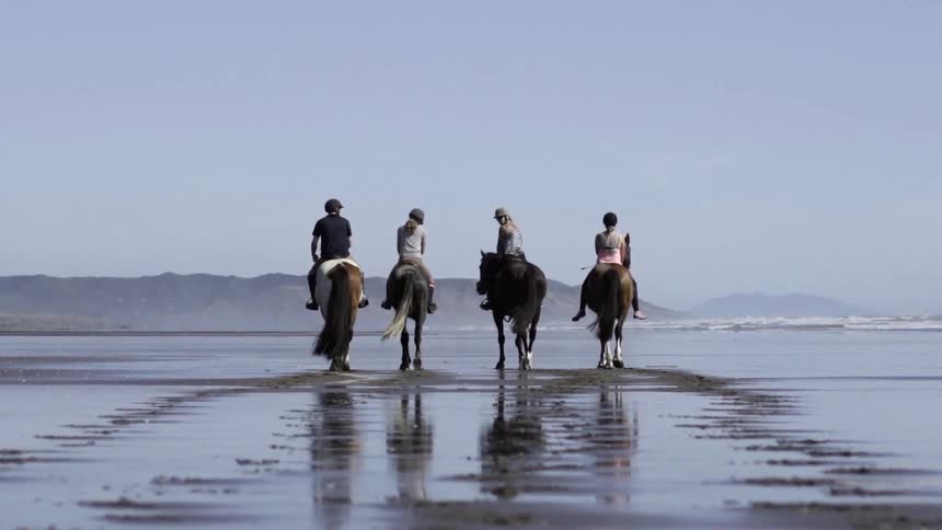 People riding horses on the beach during a scenic ocean shoreline ride.