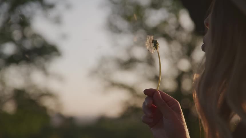 Woman blows tendrils off of dandelion