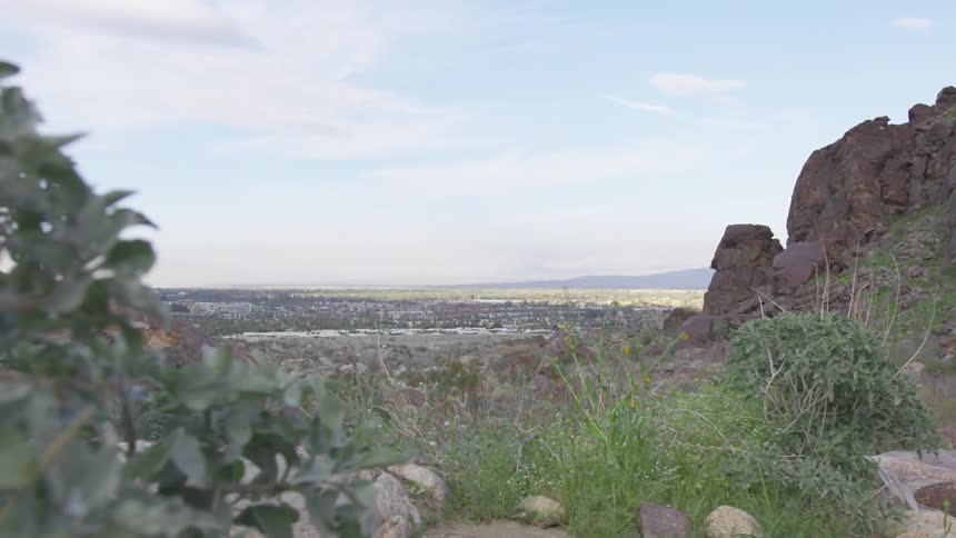 Bushes grass and rock in a natural landscape