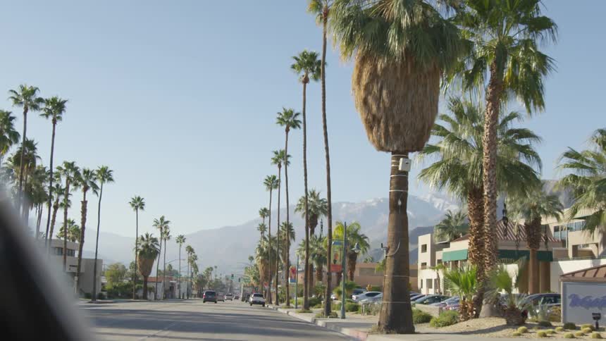 Cars drive down a scenic city street lined with palm trees and buildings with a mountain range in the distance on a sunny afternoon