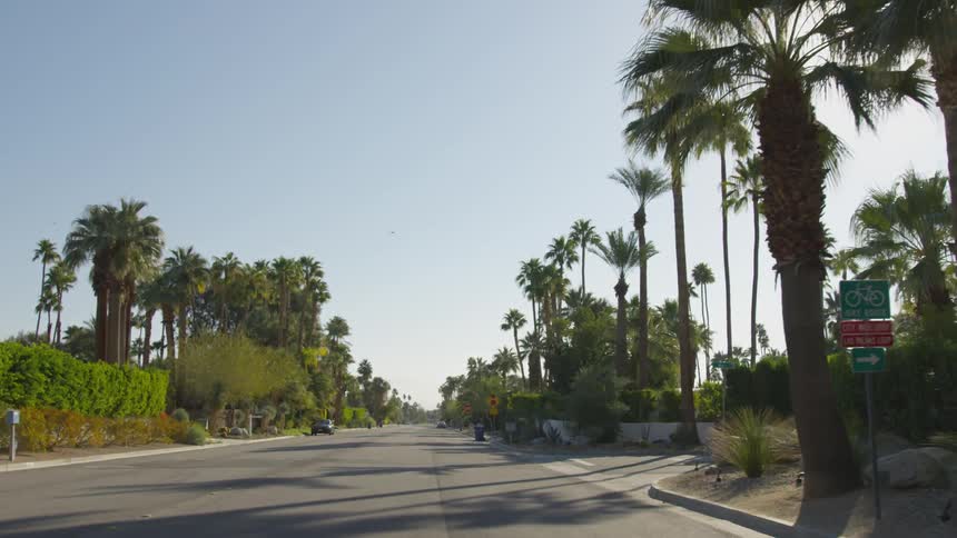 Vehicle drives along wide avenue past palm trees during a sunny day