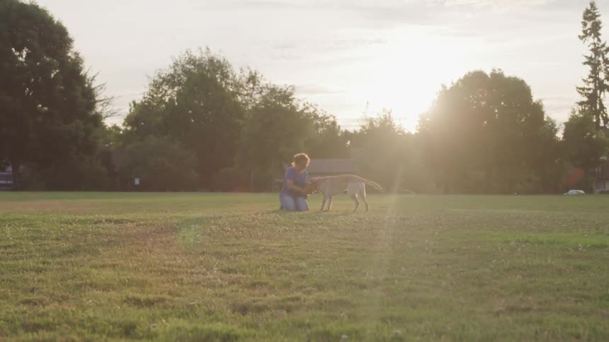 Woman pets golden dog on the green lawn while the sun goes down