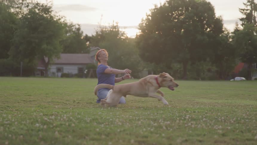 Woman playing ball with a golden retriever dog