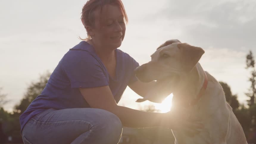 Woman pets golden dog at sunset in the countryside