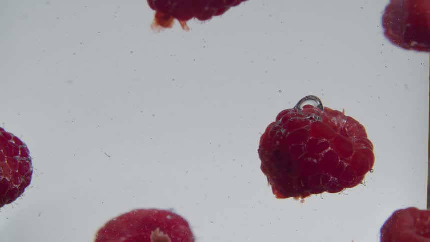 Raspberries falling into a clear container of water