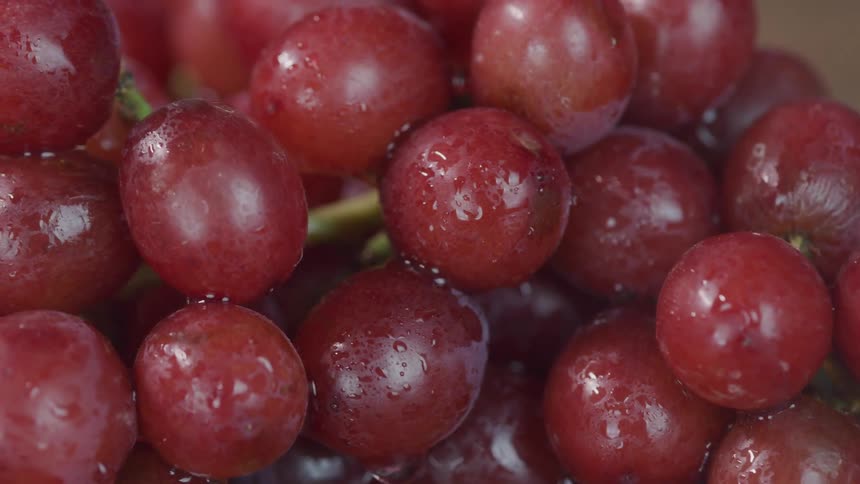 A bunch of red grapes has water glistening on it