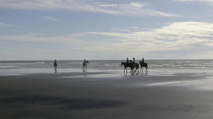 A group of riders on horseback gallop or walk along a sandy beach by the ocean.