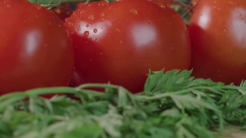Ripe tomatoes with water drops next to herbs