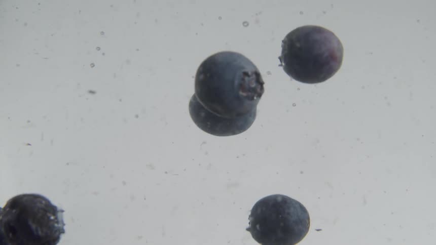 Strawberries and blueberries being dropped in water and floating