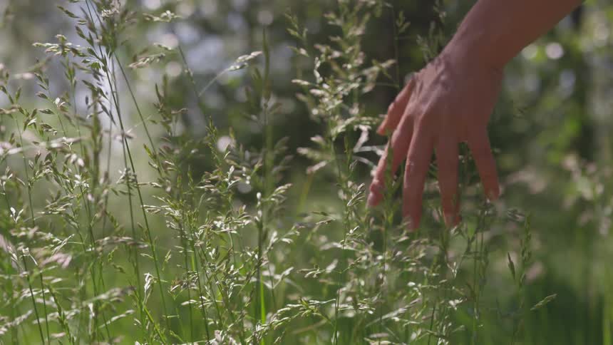 A man running hand in field flowers