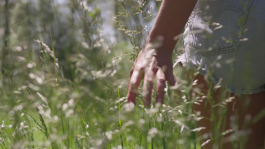 Girl running her hand in wheat in a field