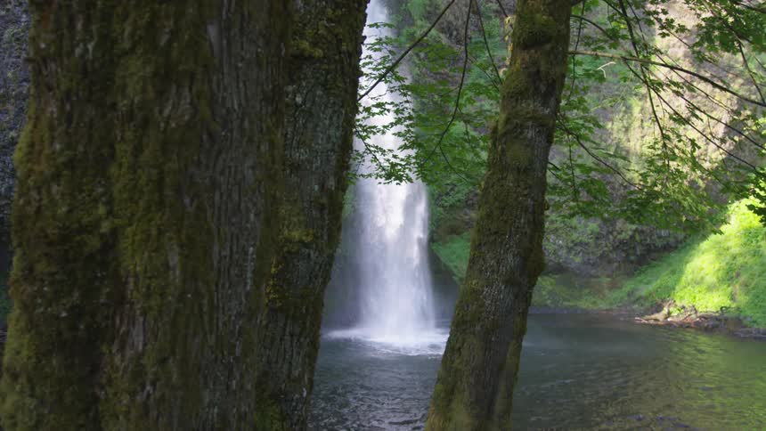 The waterfall is pouring into the creek