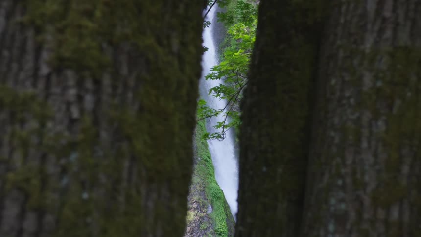 A tall rushing waterfall can be seen through the space between two trees