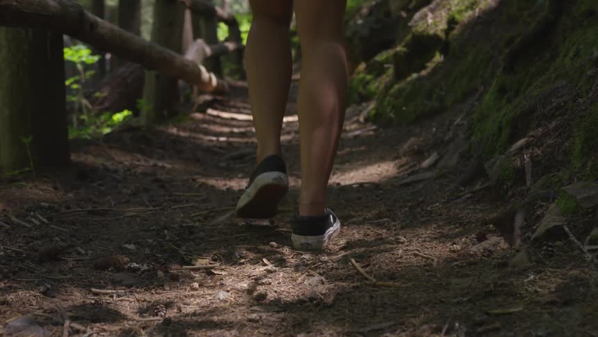 A woman is hiking in a forest area