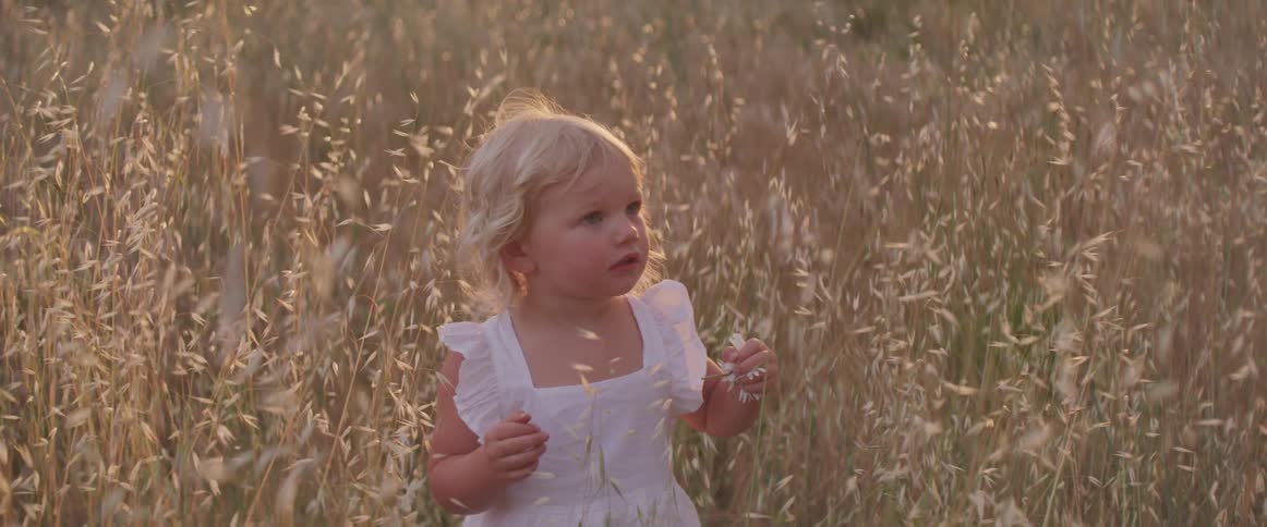 Little blonde girl in a white dress standing in a wheat field