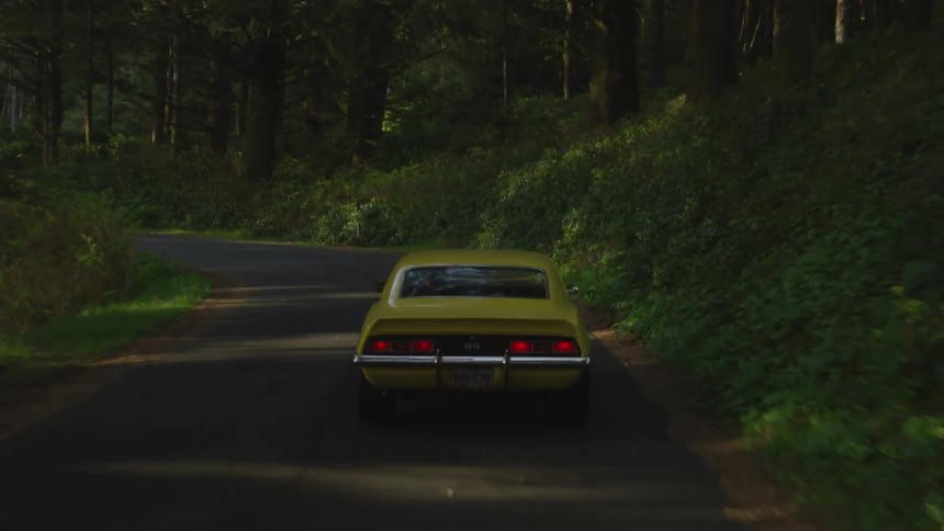 A muscle car drives down a forest road