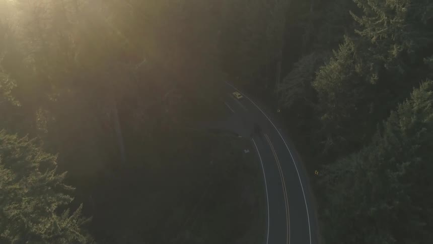 A car driving around a bend in the highway in a densely wooded area is seen from overhead