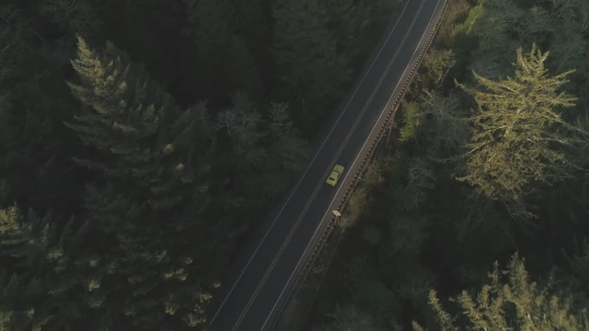 A yellow car traveling along a road through an alpine forest
