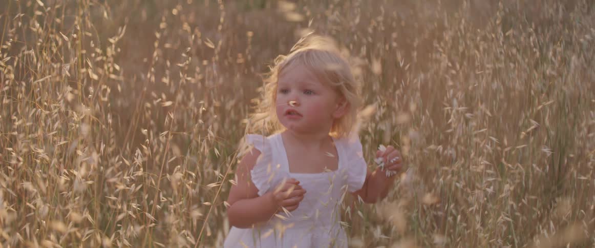 A female toddler in a white dress is standing in a tall wheat field holding a handful of flowers crumbled up in her hand