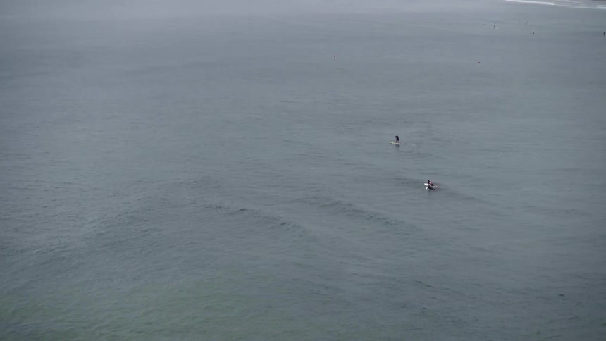 Aerial view of surfers as they float in the water
