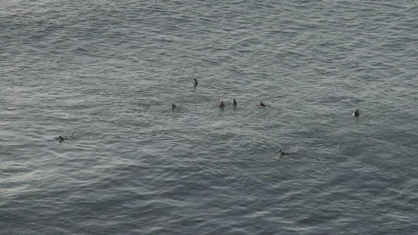 People are floating in the water on a cloudy day