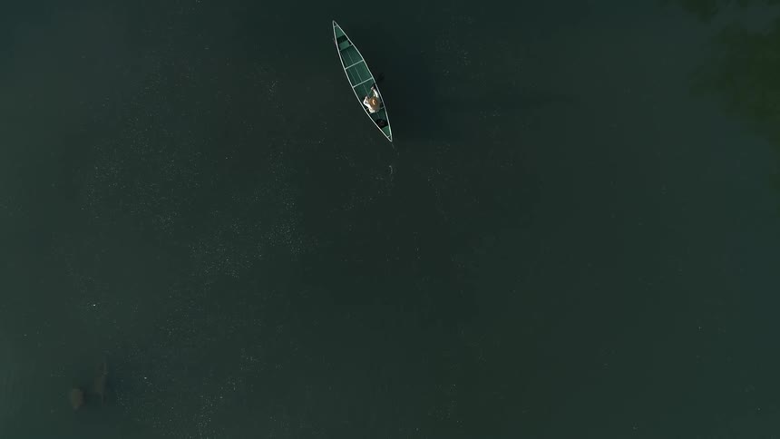 Aerial view of a person paddling a canoe