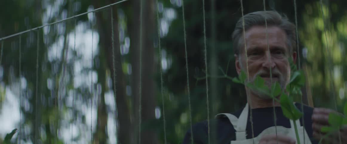 An older white man is tending to some tall plants growing in the garden