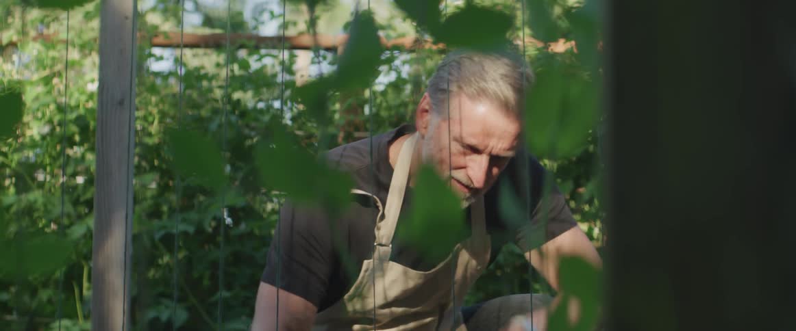 A man works in his garden