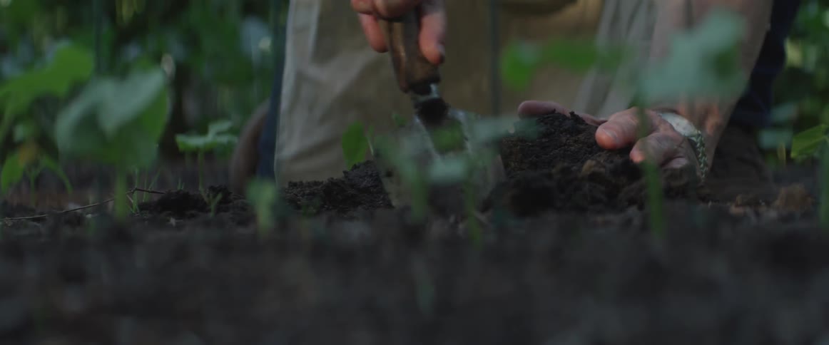 An older person digs a hole into soil while kneeling on the ground