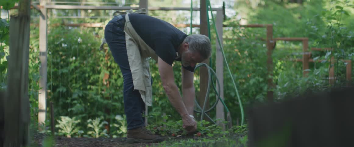 An elderly man picking leaves at the ground