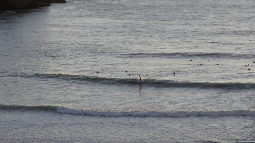 Wide view of a surfer catching and riding a small wave