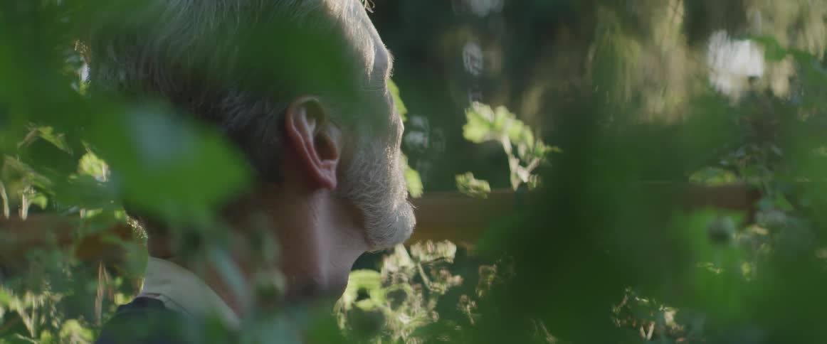 An elderly man staring into the sky at the garden