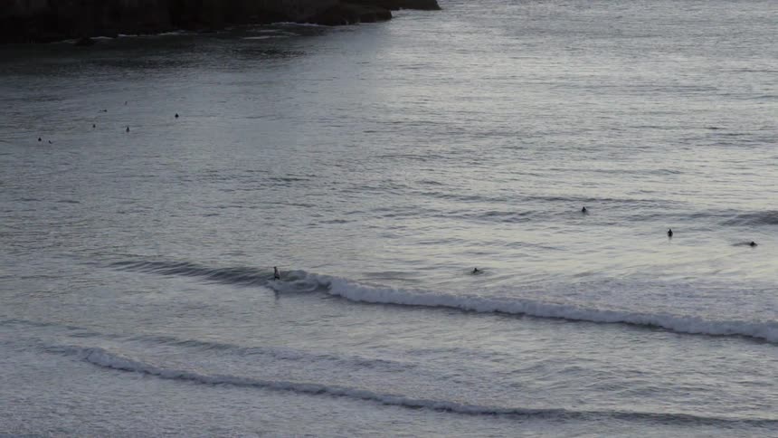 Waves move steadily across a calm body of water, creating a subtle rhythmic motion in nature.