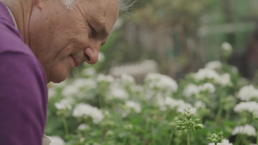 Elderly male gardening