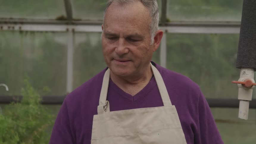 A man looks down in the greenhouse