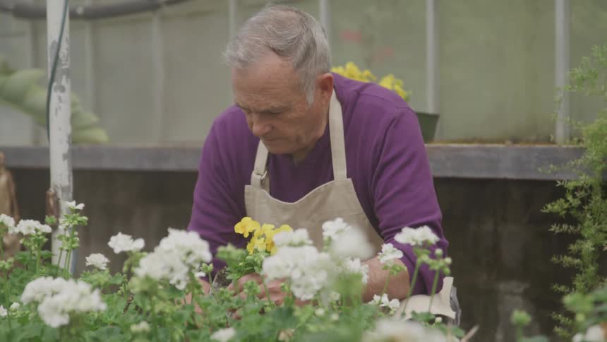Man wearing an apron tends to his plants in a garden