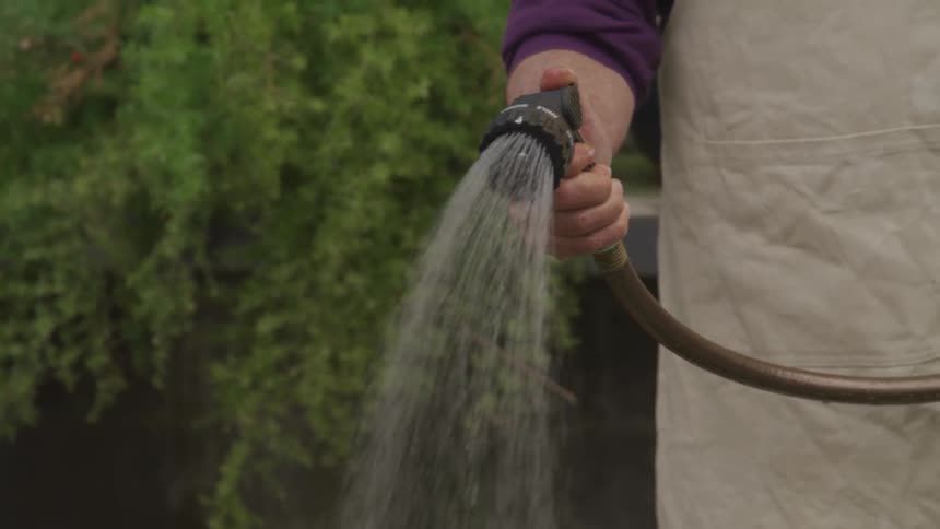Man watering the garden