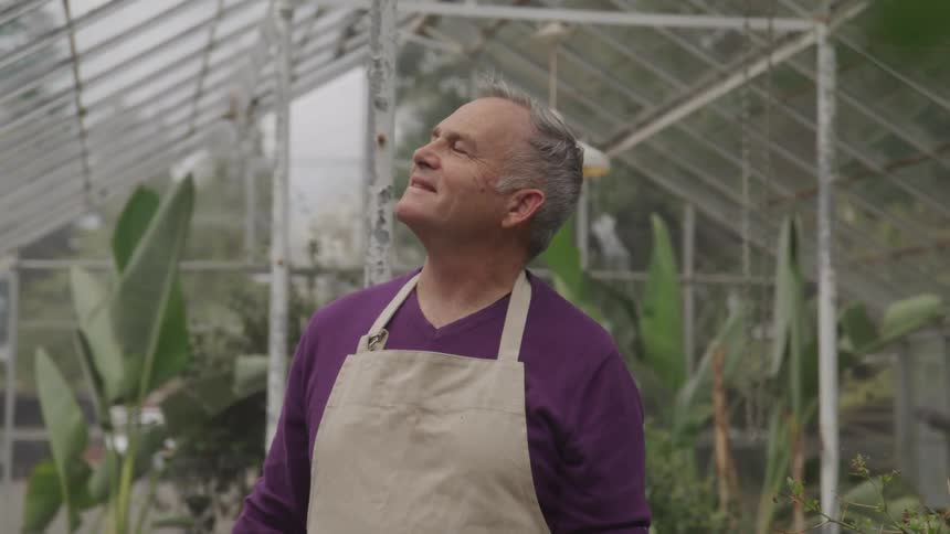 A man in a greenhouse stares up through the roof at the sky