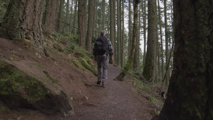 An older white man with a backpack hikes down a trail surrounded by large trees
