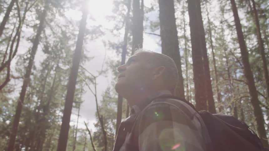A white man stands in the forest and looks up at the trees